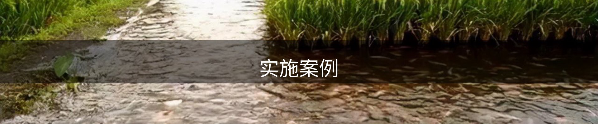 实施案例