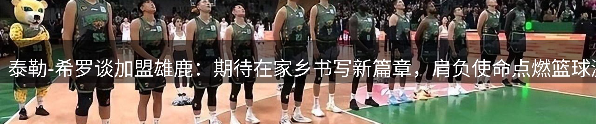 品牌资讯