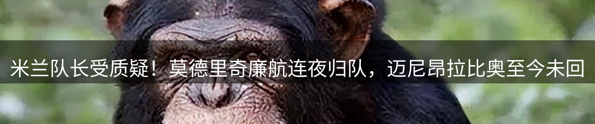 品牌资讯